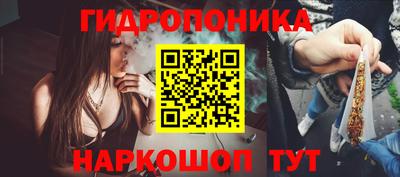 прущая мука Кингисепп