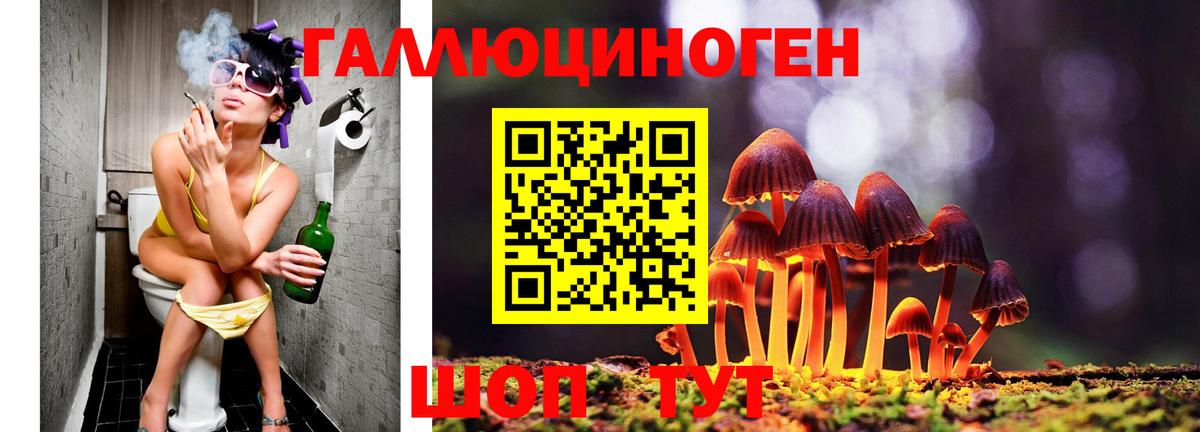 Галлюциногенные грибы ЛСД  Вход с VPN  Электросталь 